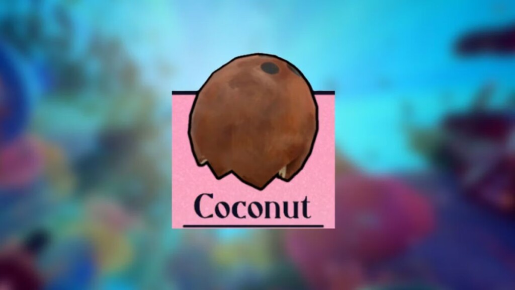 Concha Coconut