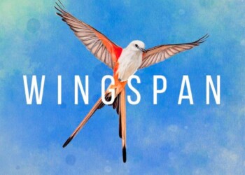 Wingspan é o Card Game de Pássaros que Chega ao PlayStation em Outubro