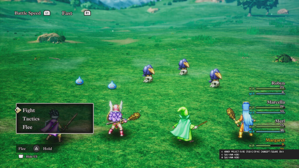 dragon quest 02